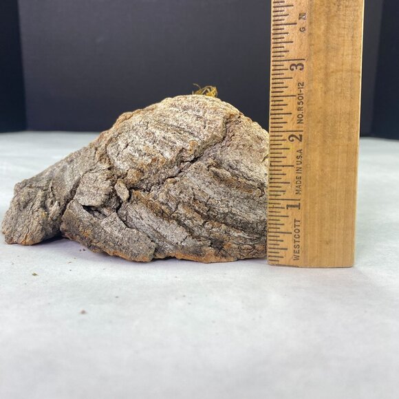 Vintage Painted Rock Owl in Wood Tree Branch Wall Decor - Picture 10 of 10